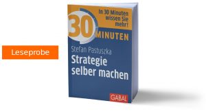 Buchcover 30 Minuten Strategie selber machen